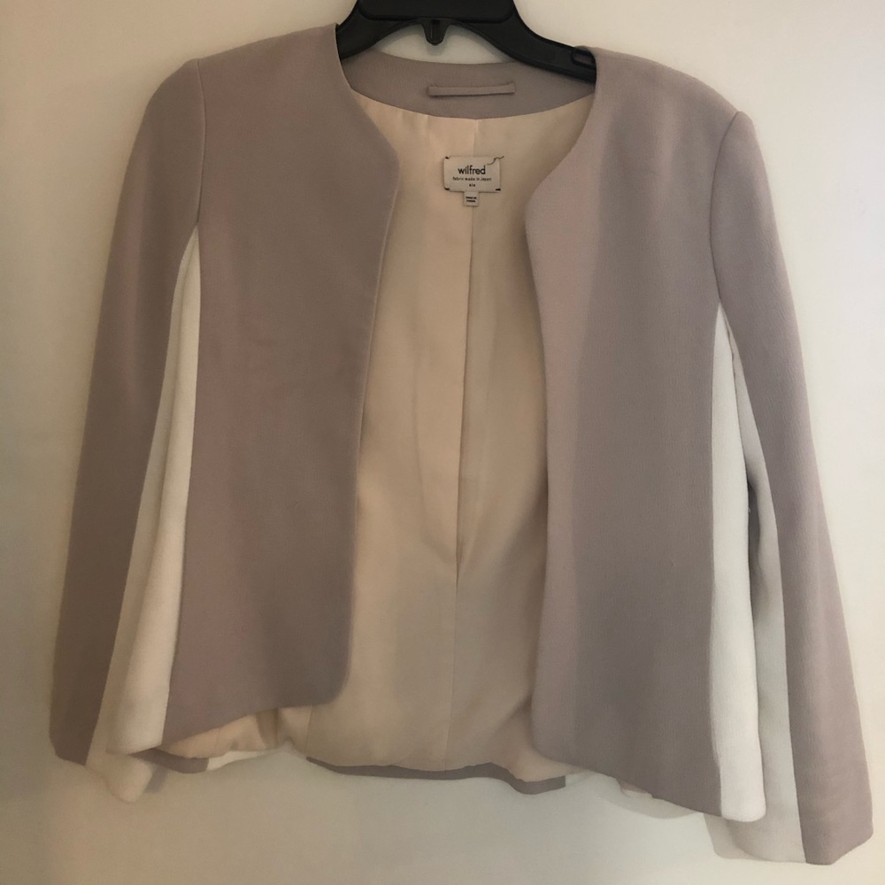 Aritzia blazer
